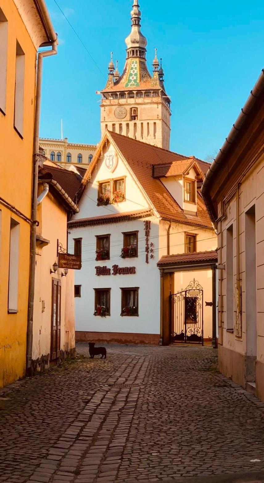 Hotel Villa Franca Segesvár Kültér fotó